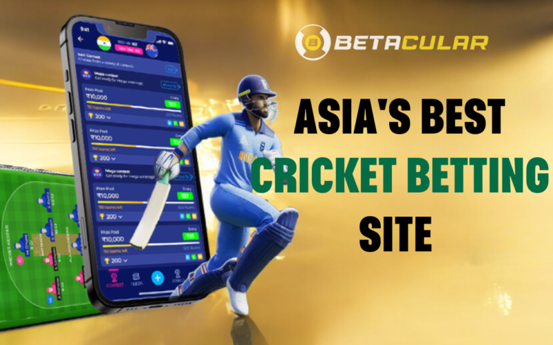 Asia's Best Cricket Betting Site in India